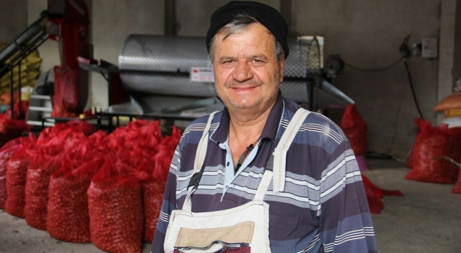 Tekirdağ'da ceviz hasadı başladı: 3 bin 500 ton rekolte bekleniyor