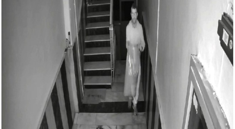 Pes dedirtti: Sokak kedileri için alınan mamayı çaldı