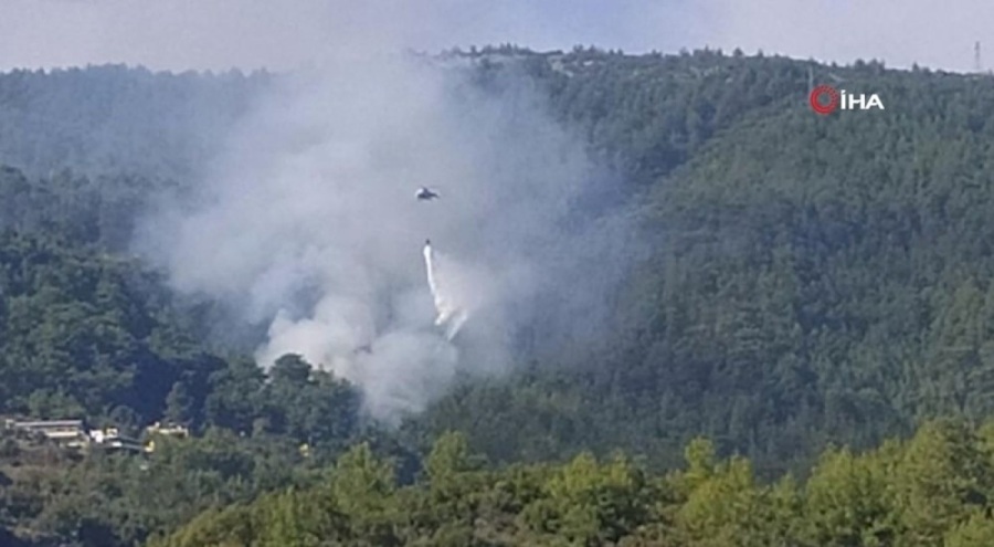Alanya'da orman yangını çıktı