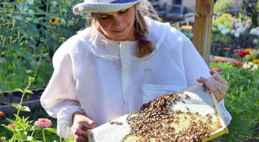 Organik arıcılık yapanlara destek! Karar Resmi Gazete'de