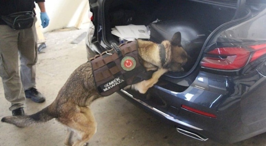 Diplomatik araçtan 55 kilo uyuşturucu çıktı!