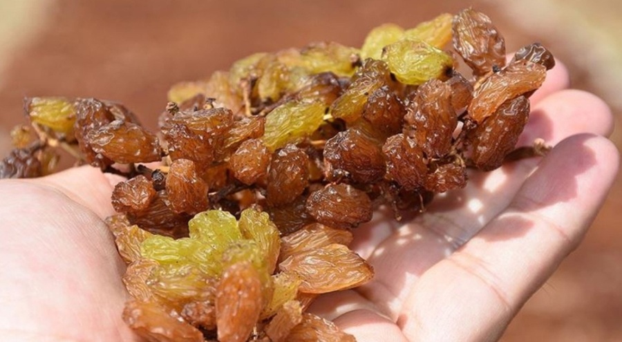 TARİŞ, kuru üzüm alım fiyatlarını yeniledi