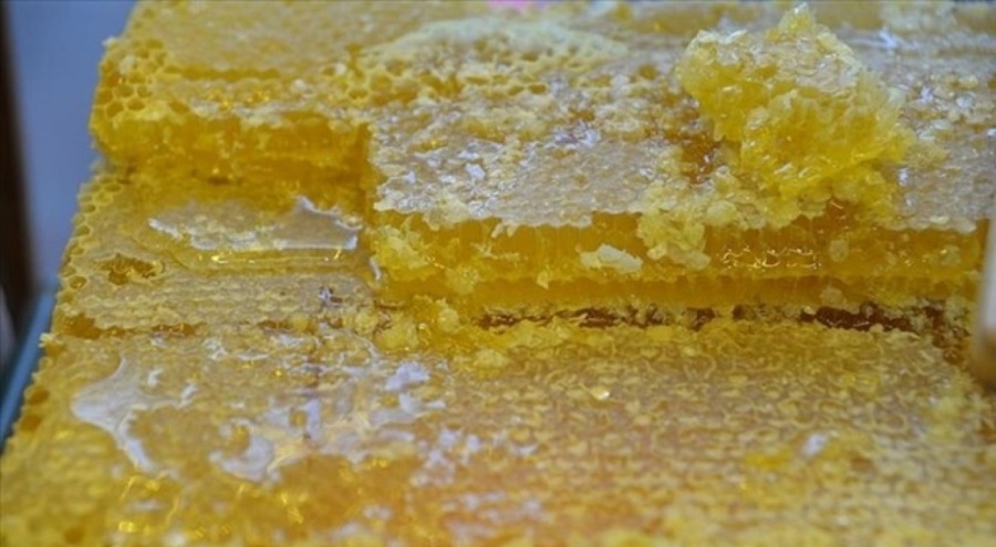 Türk balı 52 ülkede alıcı buldu