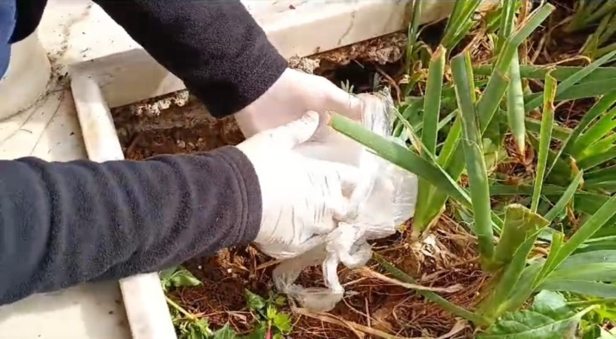 Samsun'da uyuşturucuyu dedesinin mezarına sakladı