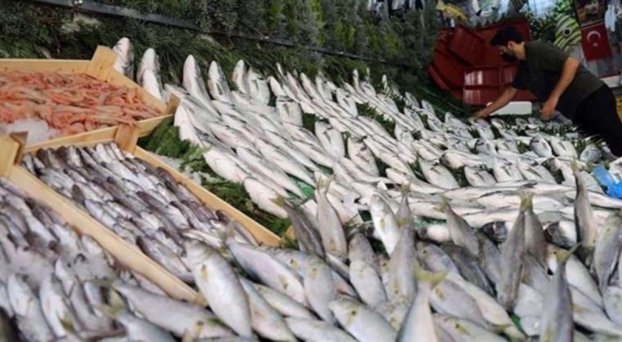 Sağlıklı yaşamın sırrı balıkta!