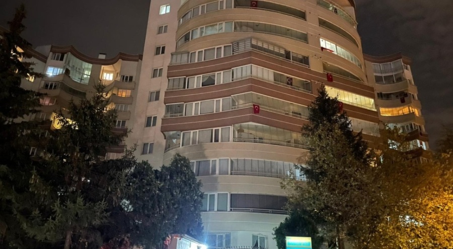 Tartıştığı ağabeyini tabancayla öldürüp, intihar etti