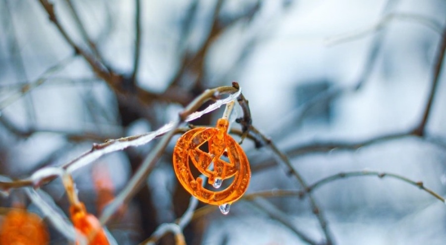 ABD'de Cadılar Bayramı kutlamalarındaki silahlı saldırılarda ölü sayısı 6'ya çıktı