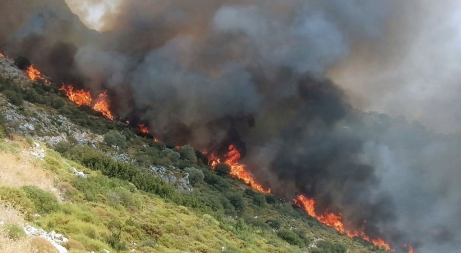 Muğla'da makilik alanda yangın