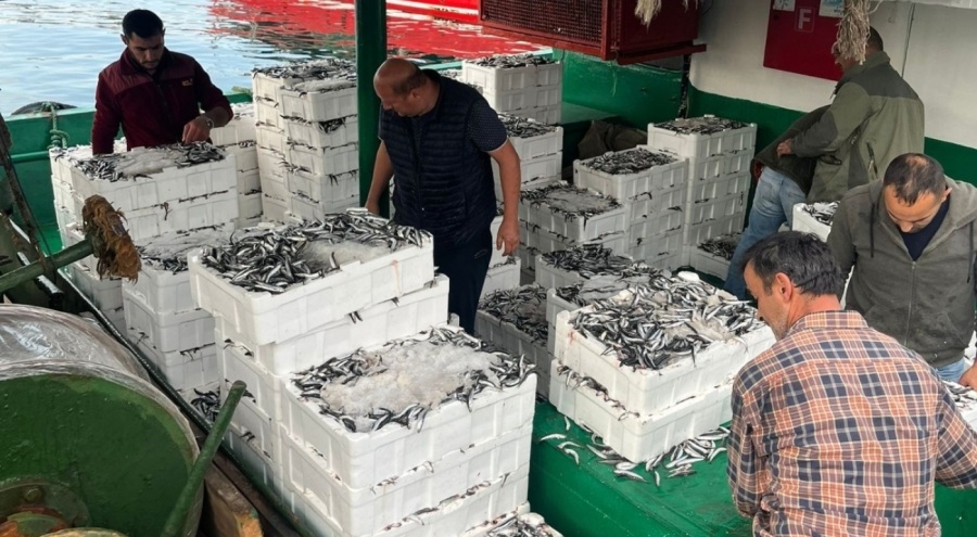 İstanbul'da denetimlerde 7.5 ton su ürününe el konuldu!