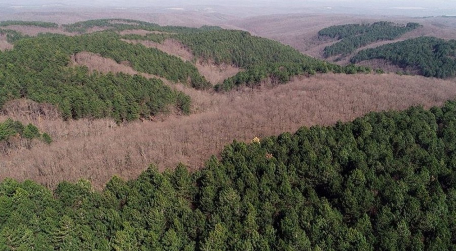Kırklareli Valiliği açıkladı: Ormanlık alanlara girişler 61 gün süreyle yasaklandı