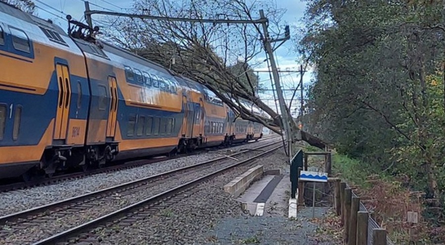 Hollanda'da fırtına can aldı!