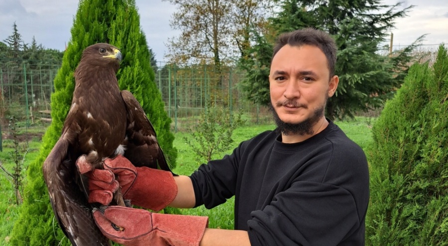 Bursa'da tedavisi yapılan orman kartalı doğaya bırakıldı