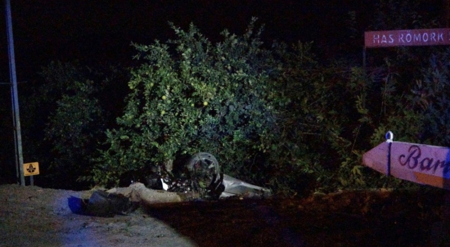 Adana'da yola çıkan köpek kazaya yol açtı! 1 ölü, 2 yaralı