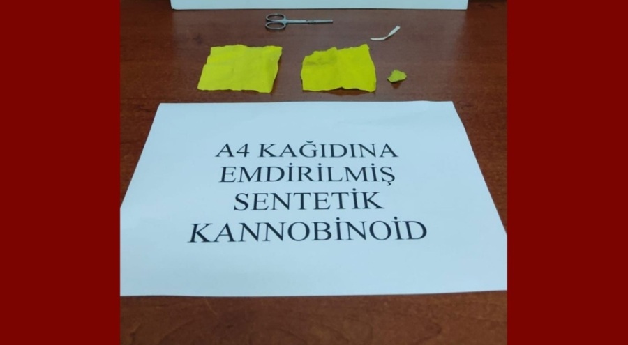 Kağıda emdirilmiş uyuşturucu ele geçirildi