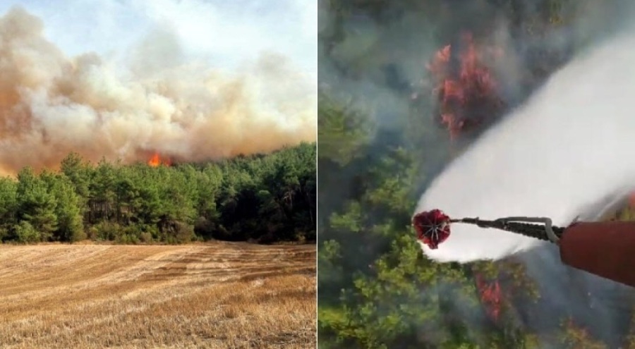 Çanakkale ve Muğla'da orman yangını