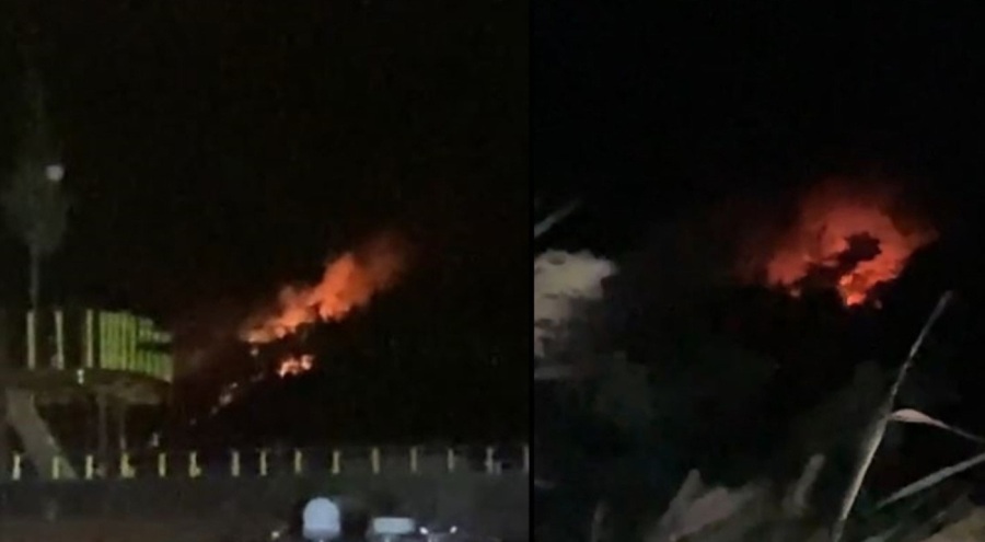 Marmaris'te orman yangını