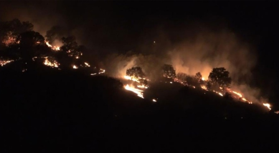 Korkutan orman yangını