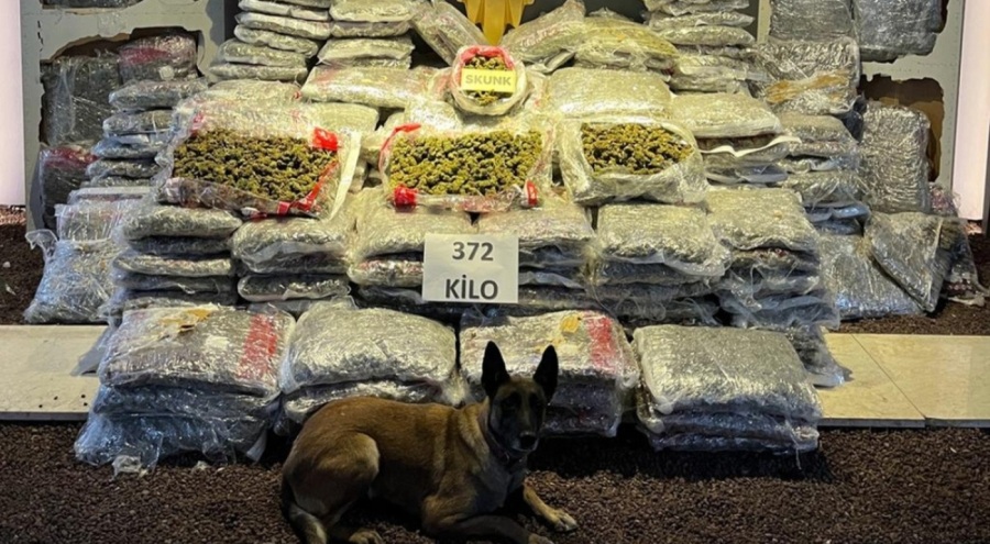 3 İlde uyuşturucu operasyonları: 374 kilo skunk, 10 kilo kokain ele geçirildi