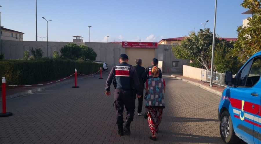 Jandarma devriyelerinden zeytin hırsızlarına darbe