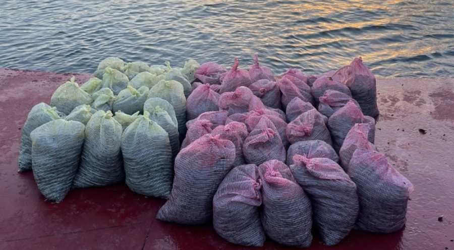 1 ton kaçak midye ele geçirildi