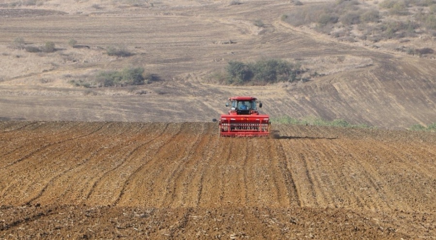 Tekirdağ'da yağmurun ardından buğday ekimi başladı