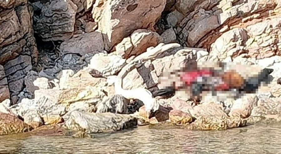 Muğla'da can yelekli ceset bulundu