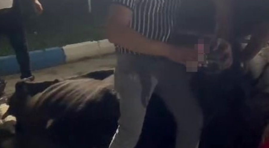 İneğe alkol işkencesi!