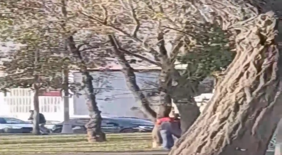 İstanbul'da sarhoşların silahlı kavgası