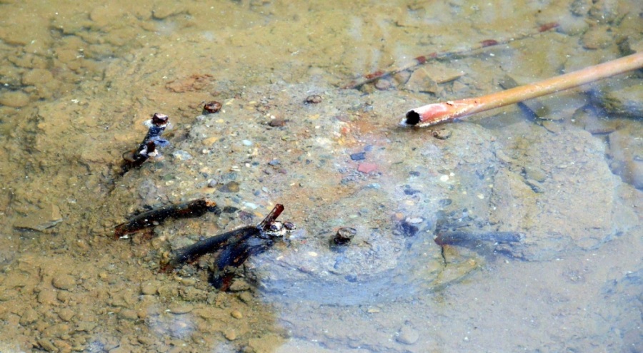 35 kişiye mezar olmuştu! Ezgi Apartmanı soruşturmasında flaş gelişme