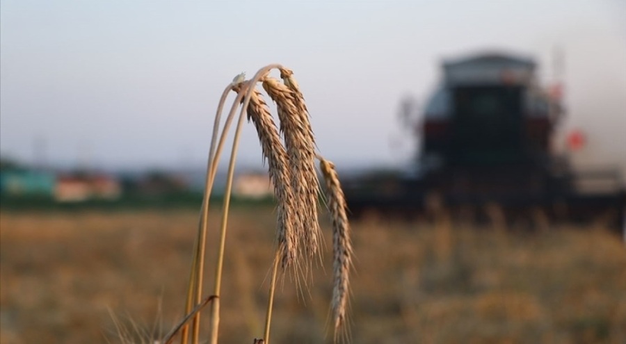 Çiftçilere 170,5 milyon liralık tarımsal destekleme ödemesi bugün yapılacak