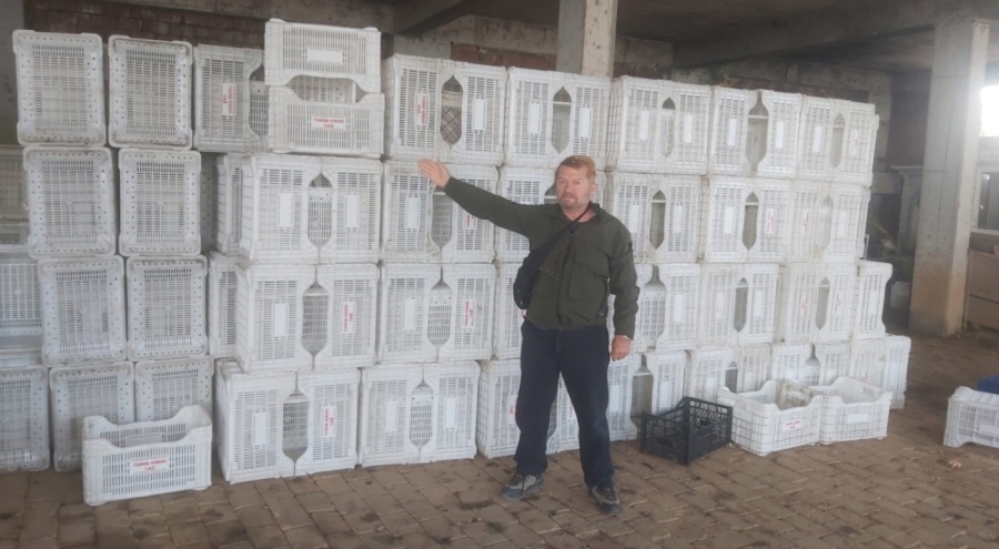Bursa'da zeytin üreticisi yüzüstü bırakıldı iddiası! Tarım Kredi zeytinleri almadı