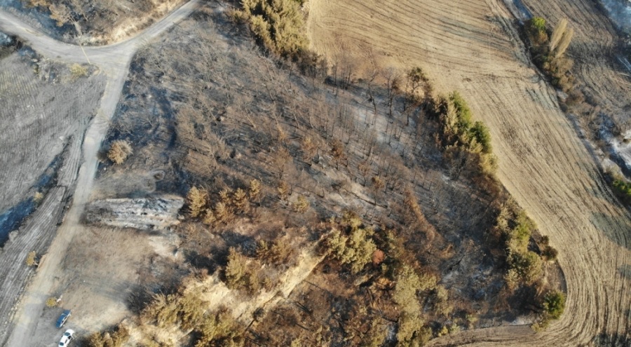 Çanakkale'deki 3 büyük orman yangınında 10 bin 612 futbol sahası büyüklüğünde alan yandı