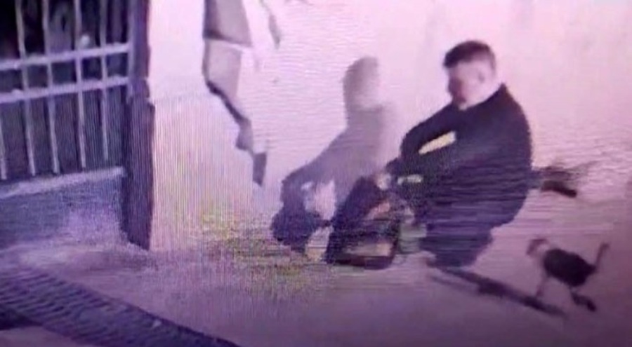 İstanbul'da çantasına koyduğu kedileri zehirledi