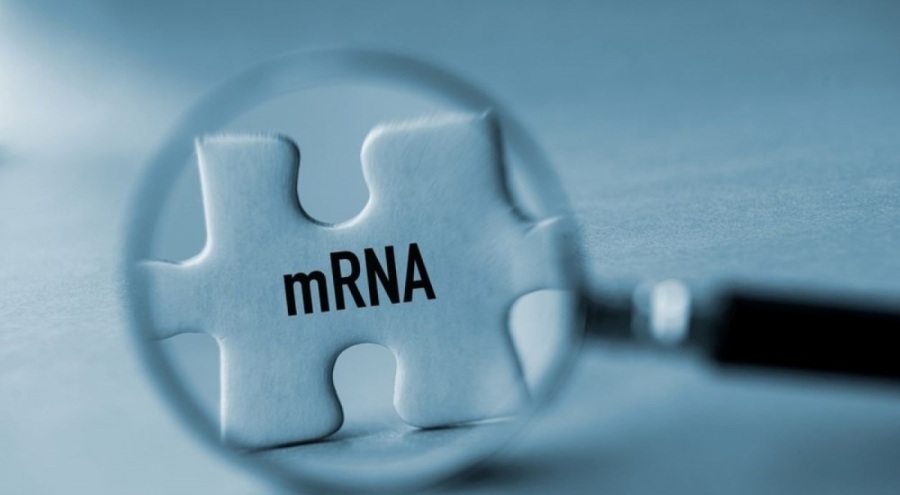 Kansere karşı yeni aşı umudu! Geri sayım başladı