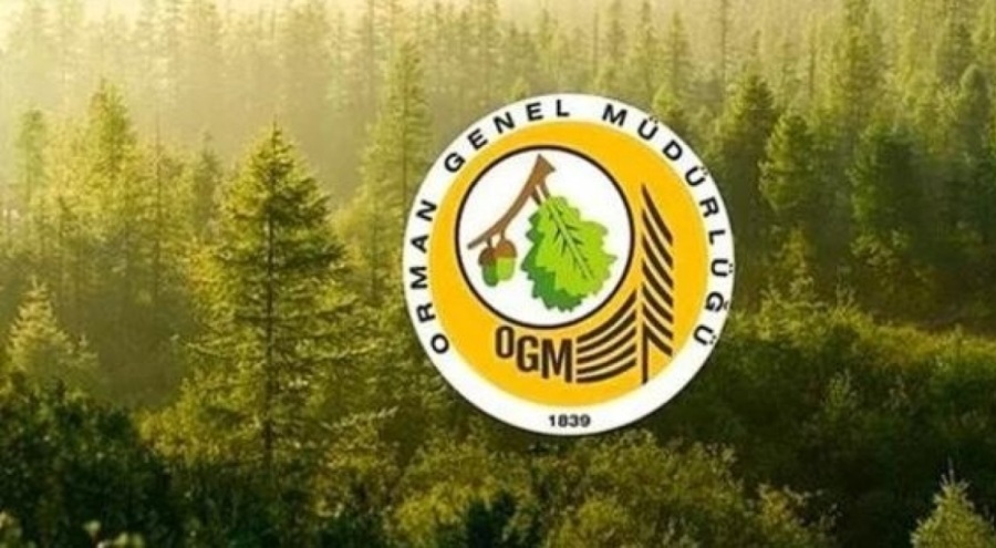 Bursa dahil çok sayıda ilde hatıra ormanları oluşturulacak