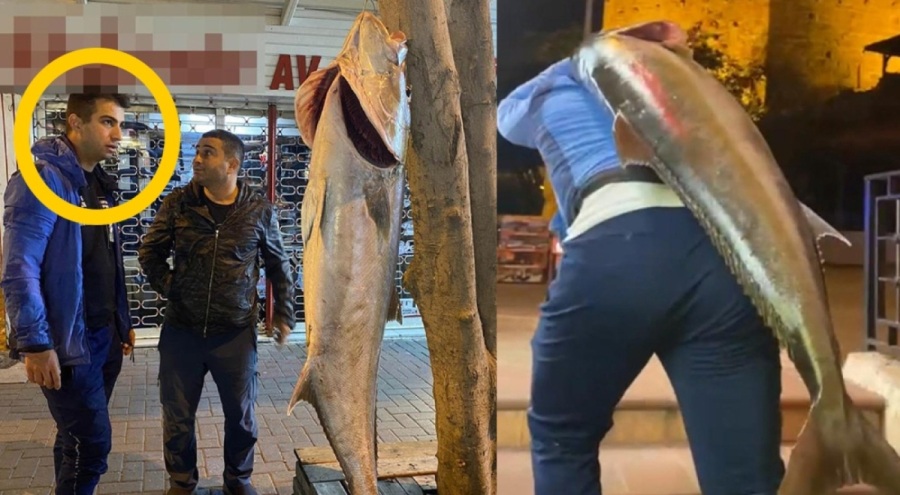 Amatör balıkçı yakaladı! Poşete sığmadı, sırtlayarak götürdü