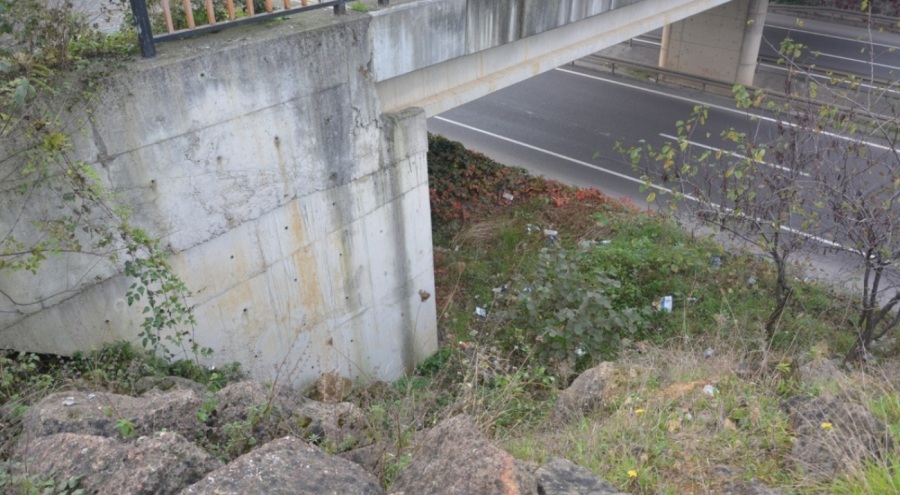 "Arabadan indi, köprüden düştü!" Ordu'da bir kadının şüpheli ölümü!