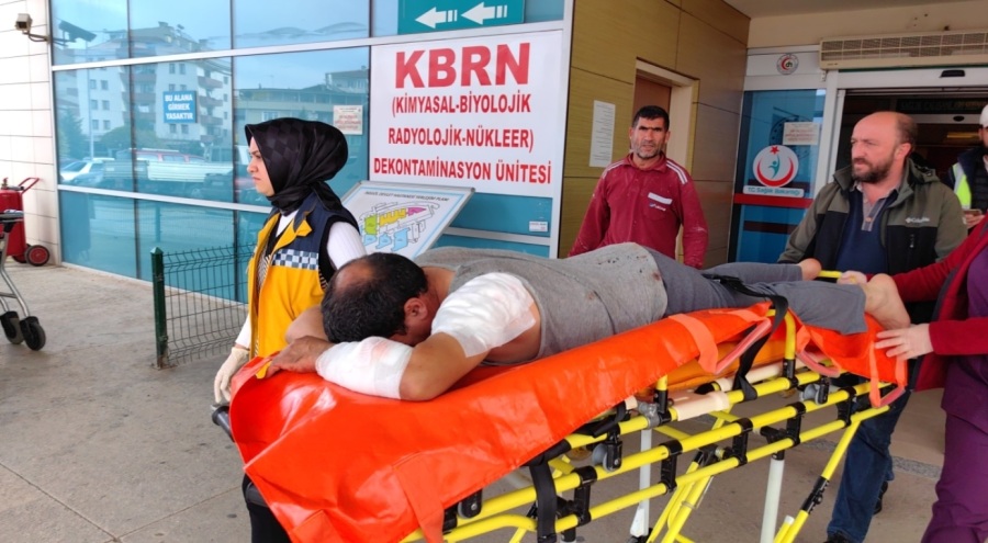 Bursa'da köpek saldırısı! İnşaat işçisi yaralandı