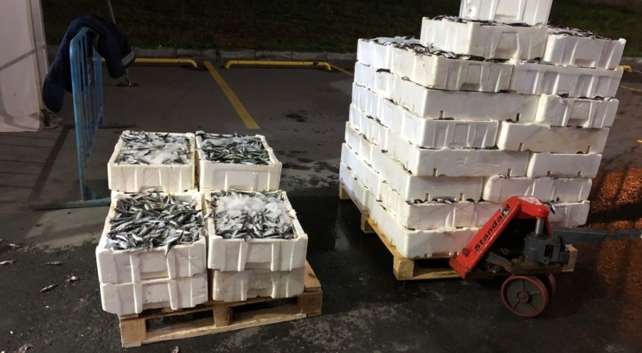 İstanbul'da kaçak avcılık yapan 24 kişiye 193 bin 246 TL idari para cezası kesildi