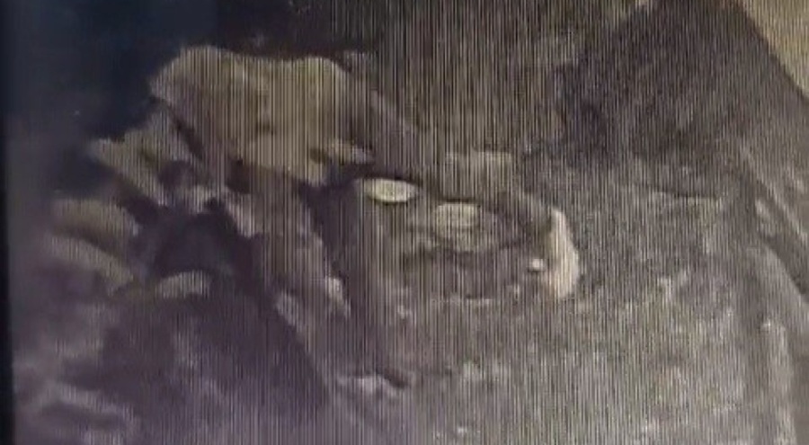 Trafo hırsızı yakalandı