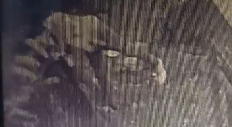 Trafo hırsızı önce kameraya sonra polise yakalandı