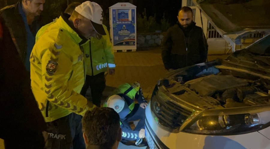 Bursa'da polisin dikkati mahsur kalan kediyi ölümden kurtardı