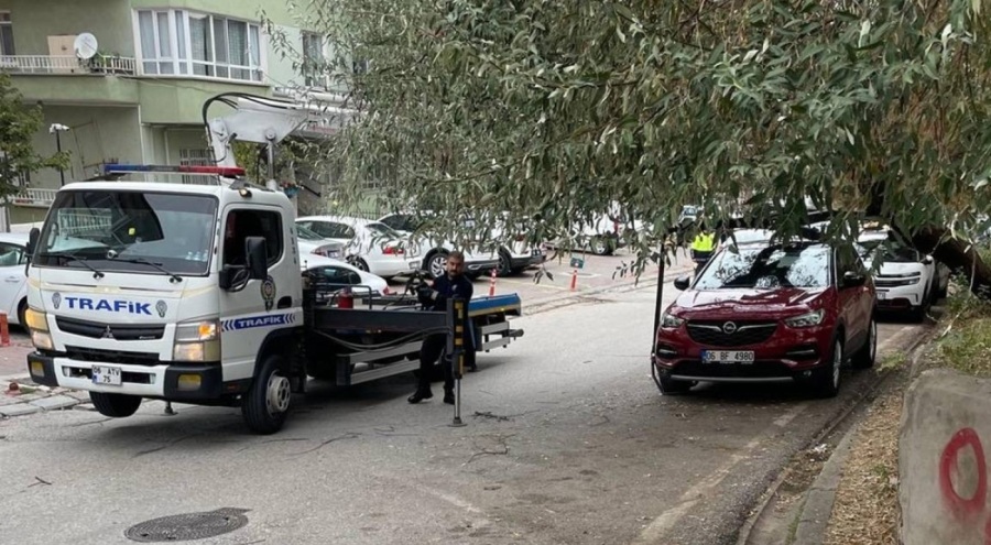 İstanbul'da vale operasyonu şoku