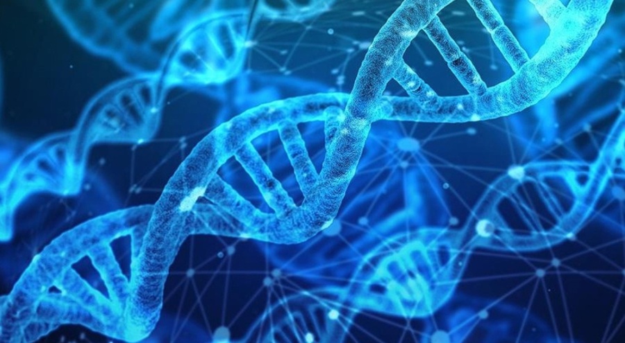 Kalıtsal kan hastalıklarının tedavisinde 'gen terapisi' yönetimi için onay verildi!