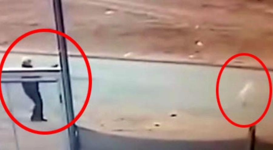 Sokak köpeğini tüfekle öldüren cani gözaltında!