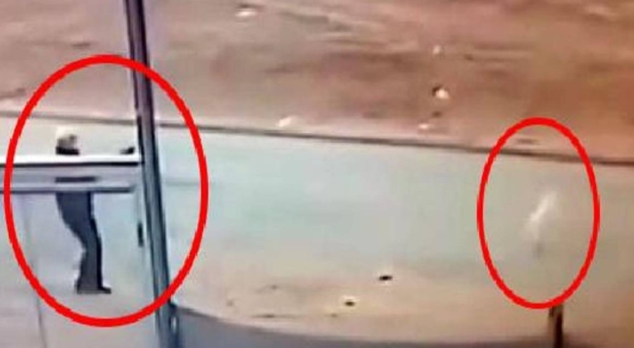Sokak köpeğini tüfekle öldüren 72 yaşındaki adam serbest bırakıldı