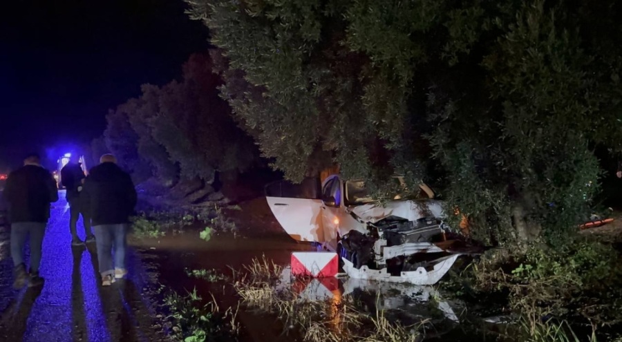 Bursa'da alkollü sürücü zeytin ağacına çarptı!