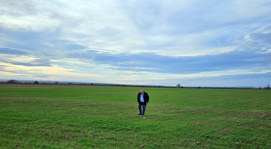 10 günde 158 kilo yağış alan Trakya'da tarlalar yeşerdi