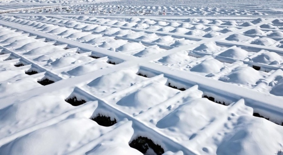 Erzurum'da kış hazırlığı: 1000 adet mezar kazıldı