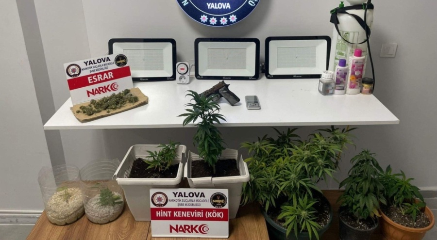 Yalova'daki uyuşturucu operasyonlarında 2 gözaltı